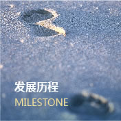发展历程