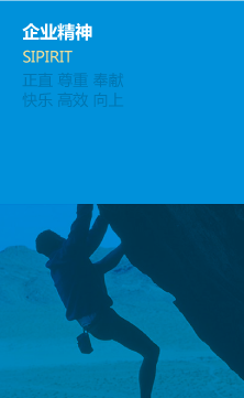 企业精神